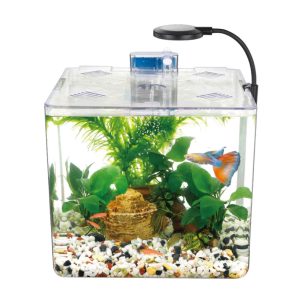 Kit mini aquarium nanbor avec système de filtrage et lampe led – حوض أسماك مع مصباح