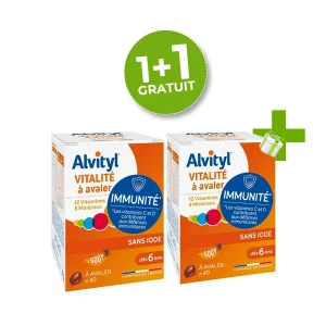 ALVITYL PACK VITALITE COMP B/40 + 1 GRATUIT